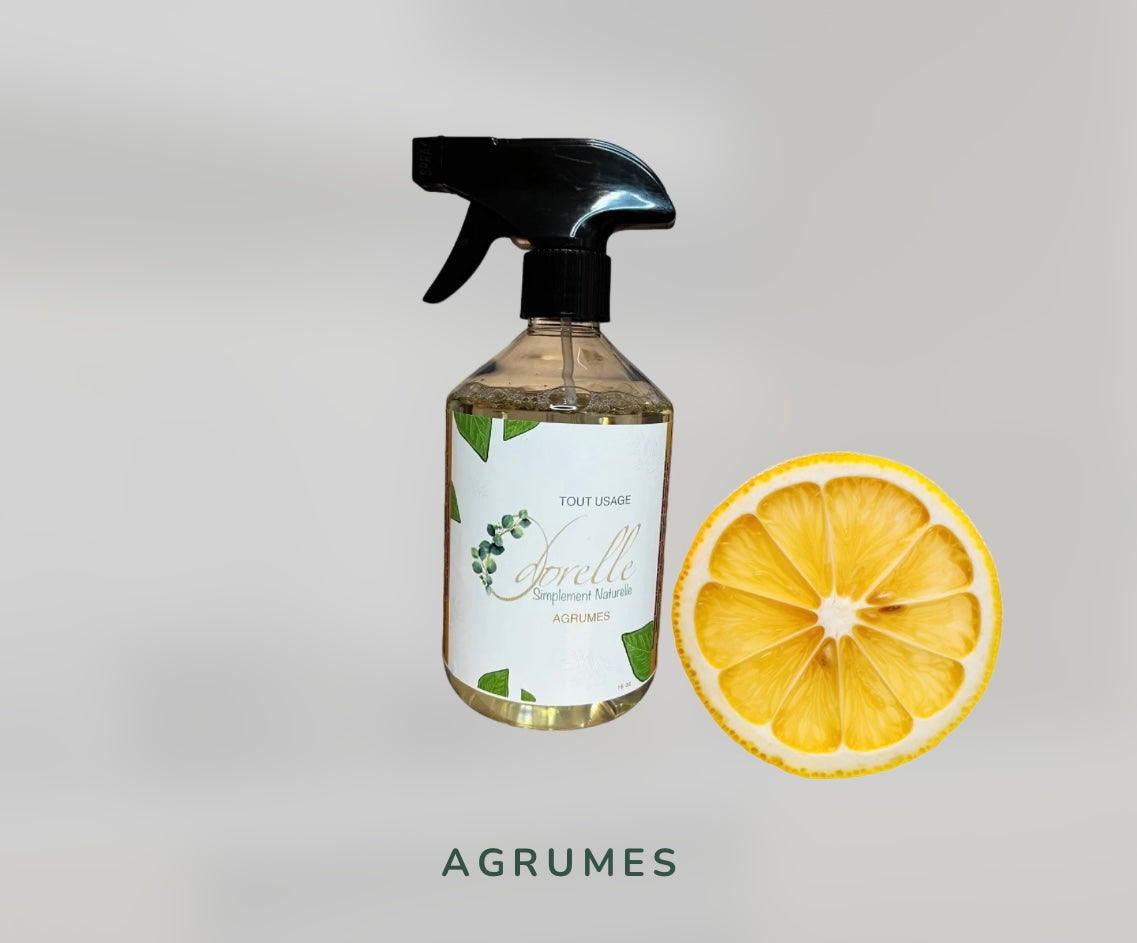 Nettoyant tout-usage 16oz