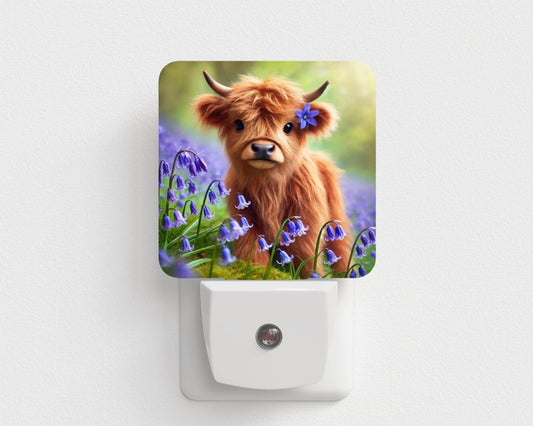 Veilleuse - Bebe vache highland