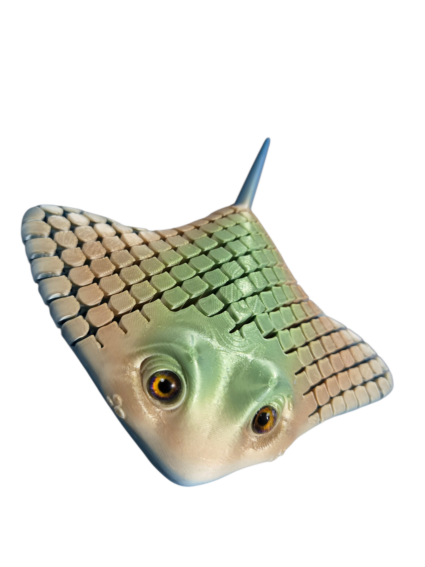 Raie sensoriel par Flexi Poly