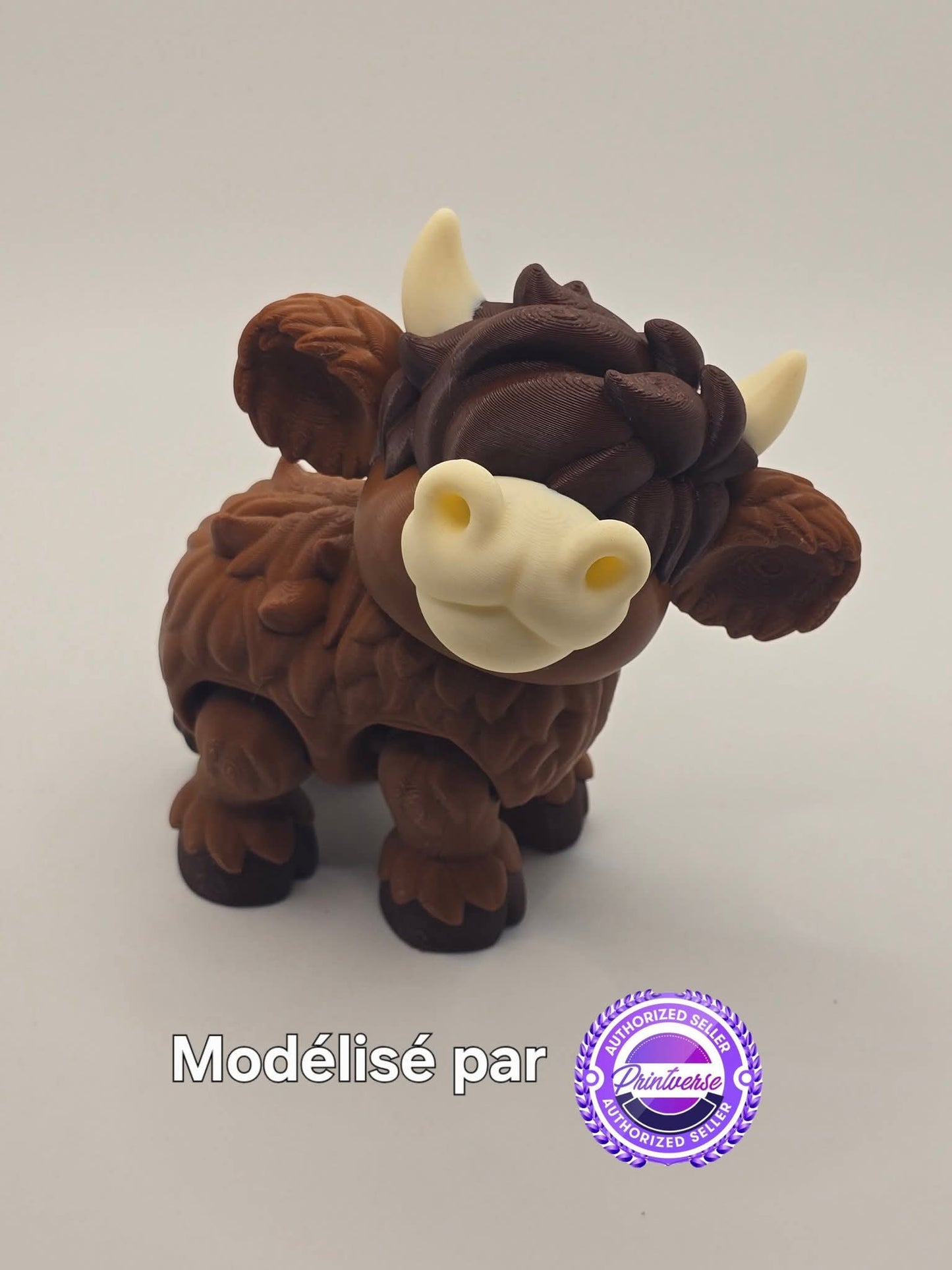 Vache highland par Flexi