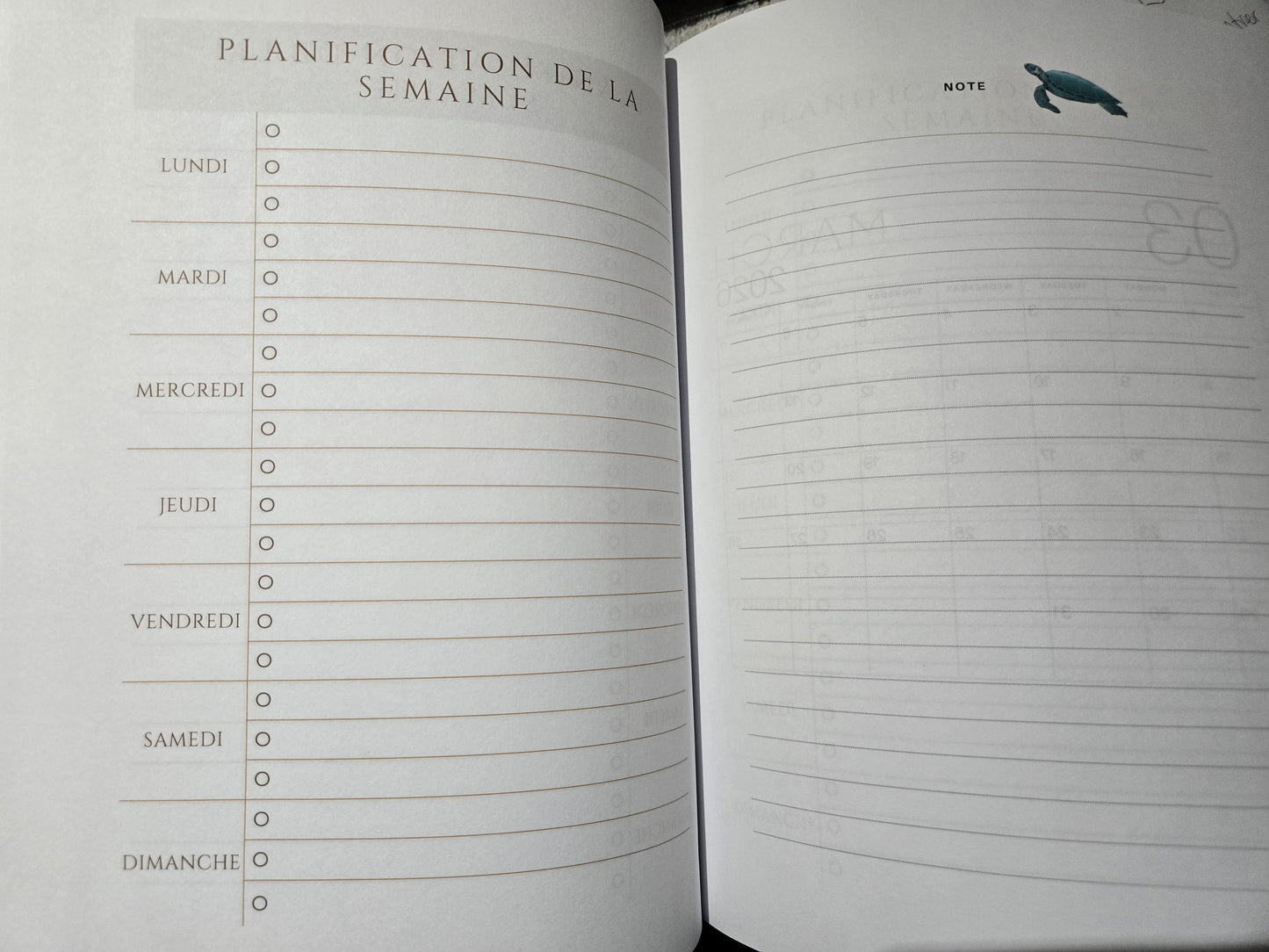 Agenda 2026 - Tortue