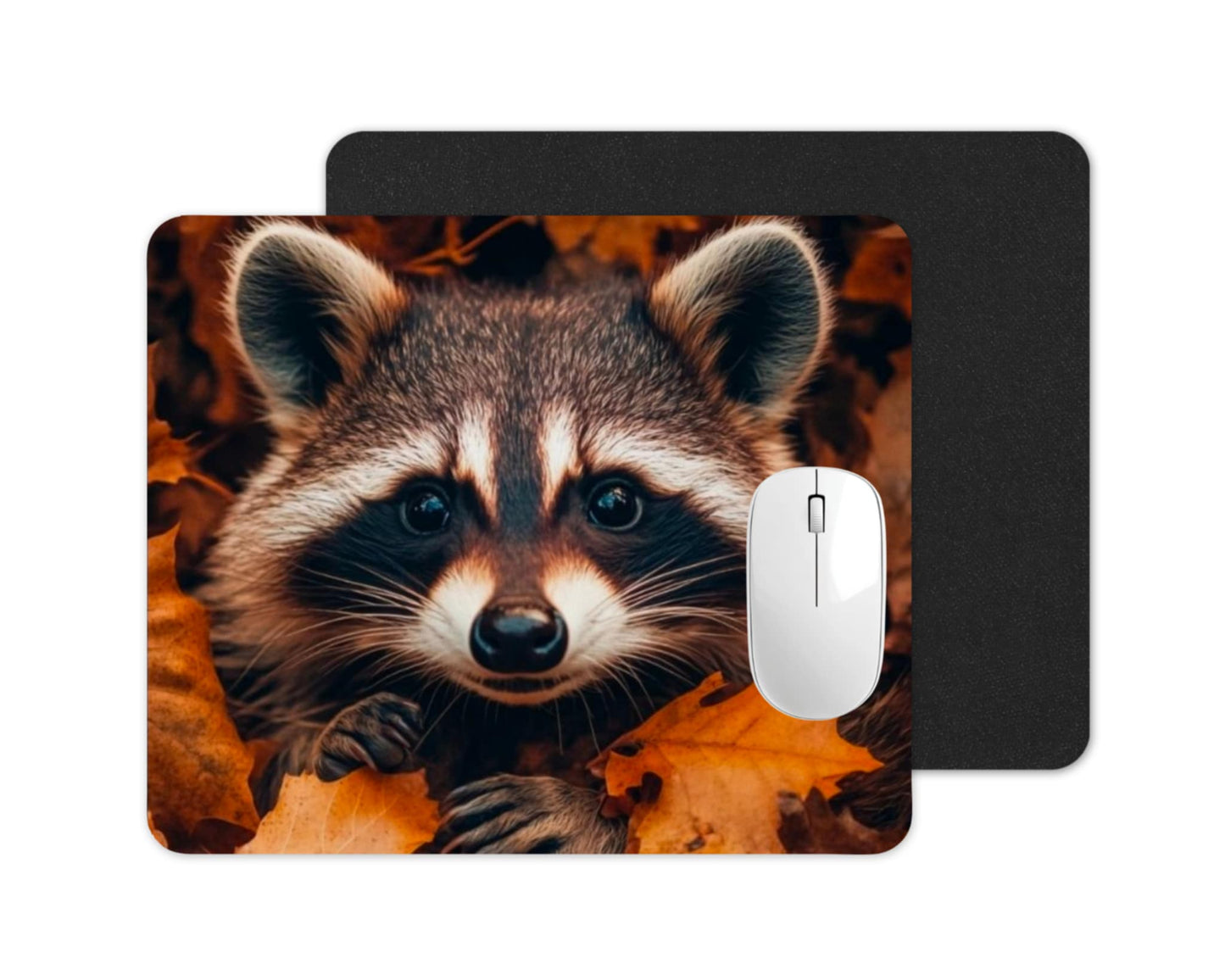 Tapis de souris - Raton laveur