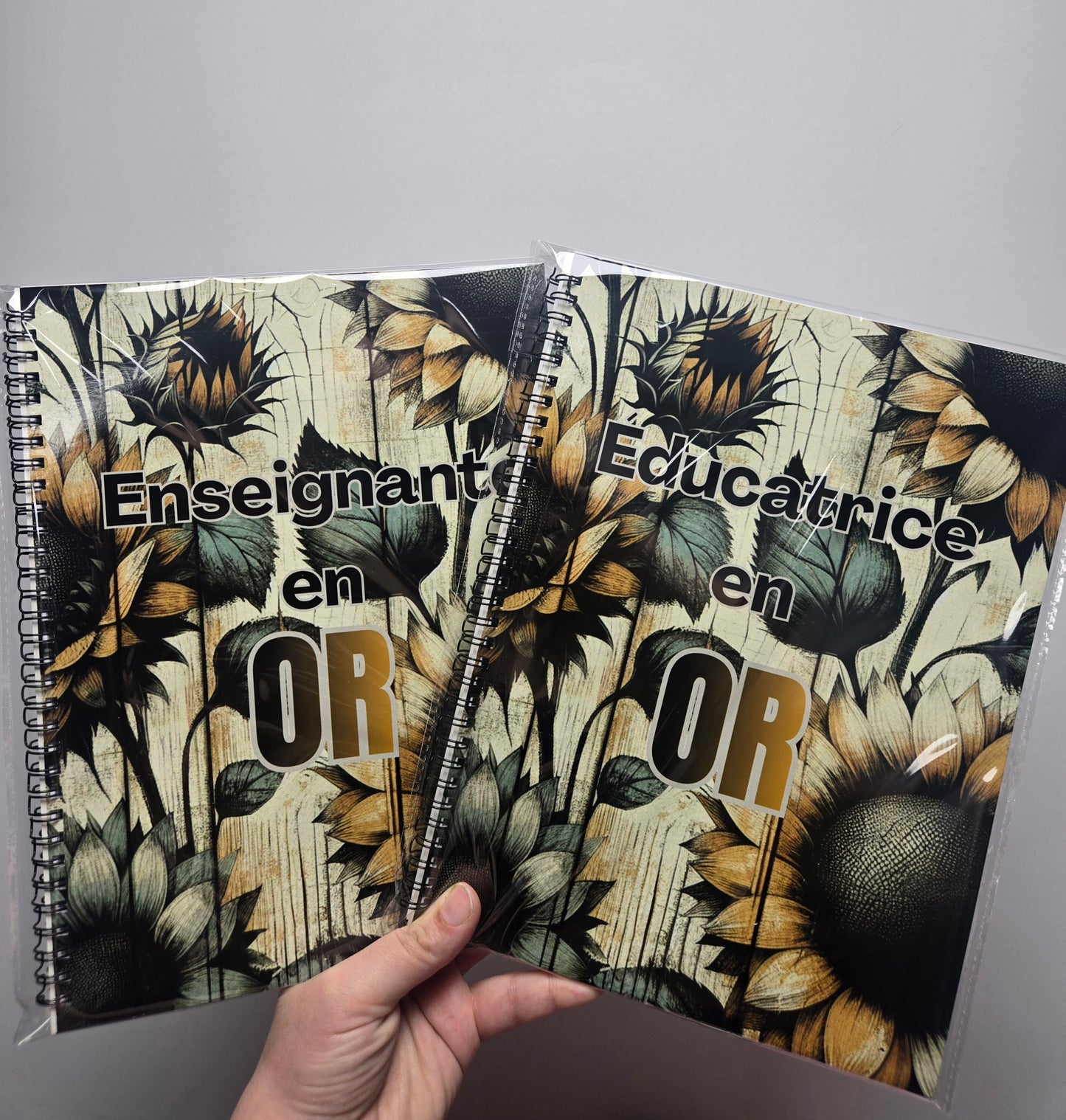 Cahier pour enseignante/éducatrice (Grand format)