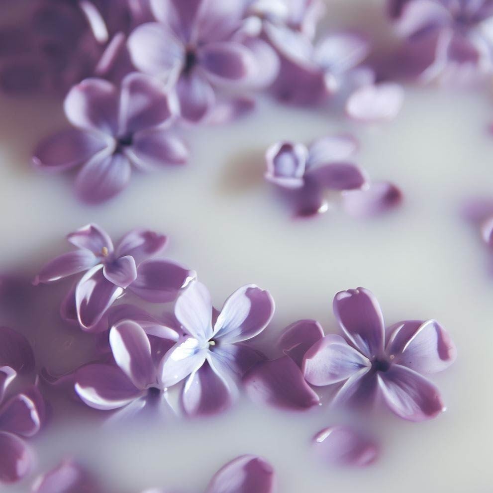 Lait de bain 50g ou 165g