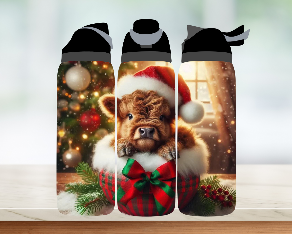 Bouteille style Owala 🎄 Collection d'hiver (24 OZ)