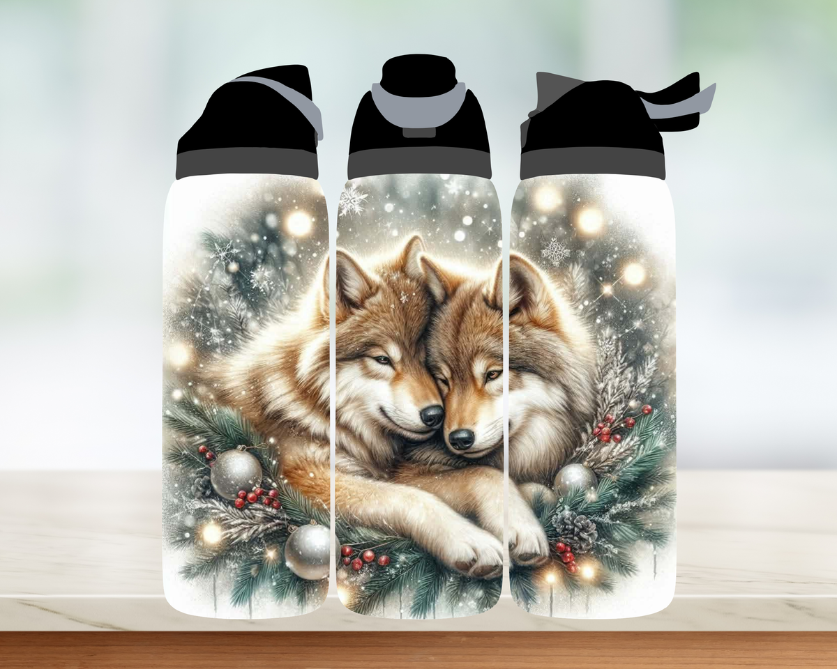 Bouteille style Owala 🎄 Collection d'hiver (24 OZ)