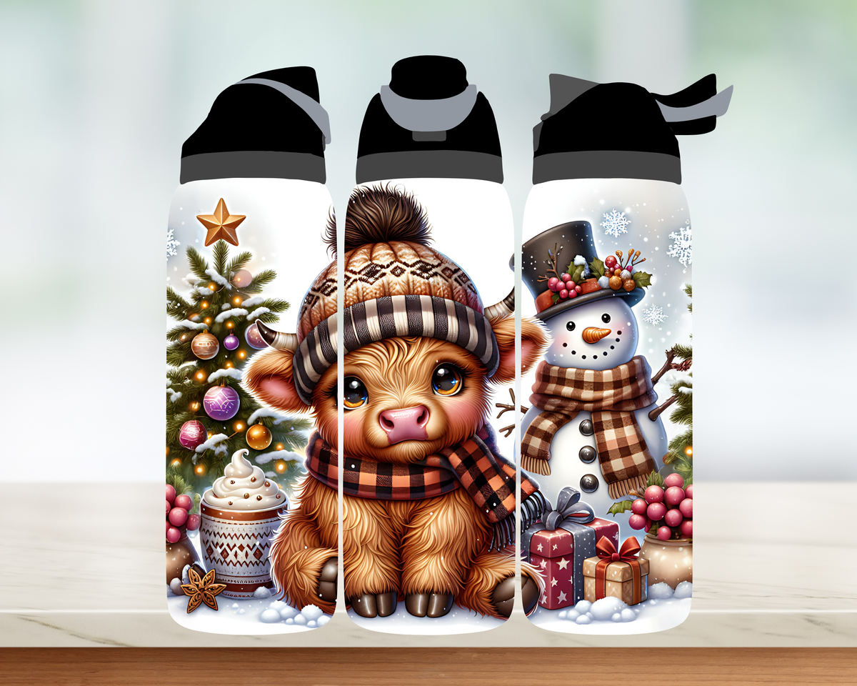 Bouteille style Owala 🎄 Collection d'hiver (24 OZ)