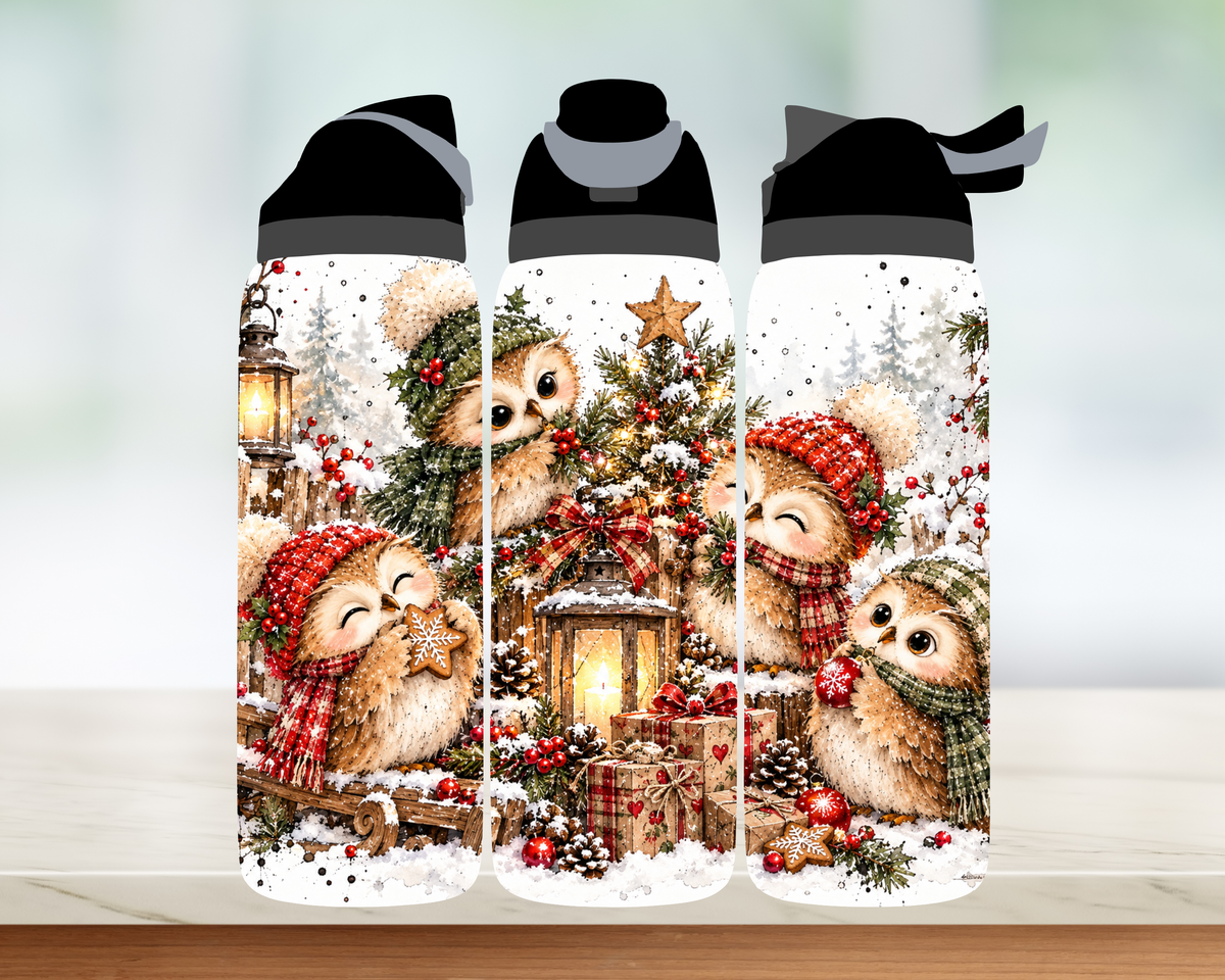 Bouteille style Owala 🎄 Collection d'hiver (24 OZ)