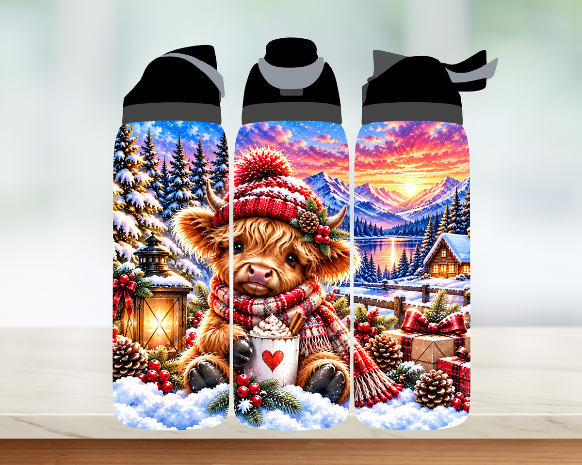 Bouteille style Owala 🎄 Collection d'hiver (24 OZ)