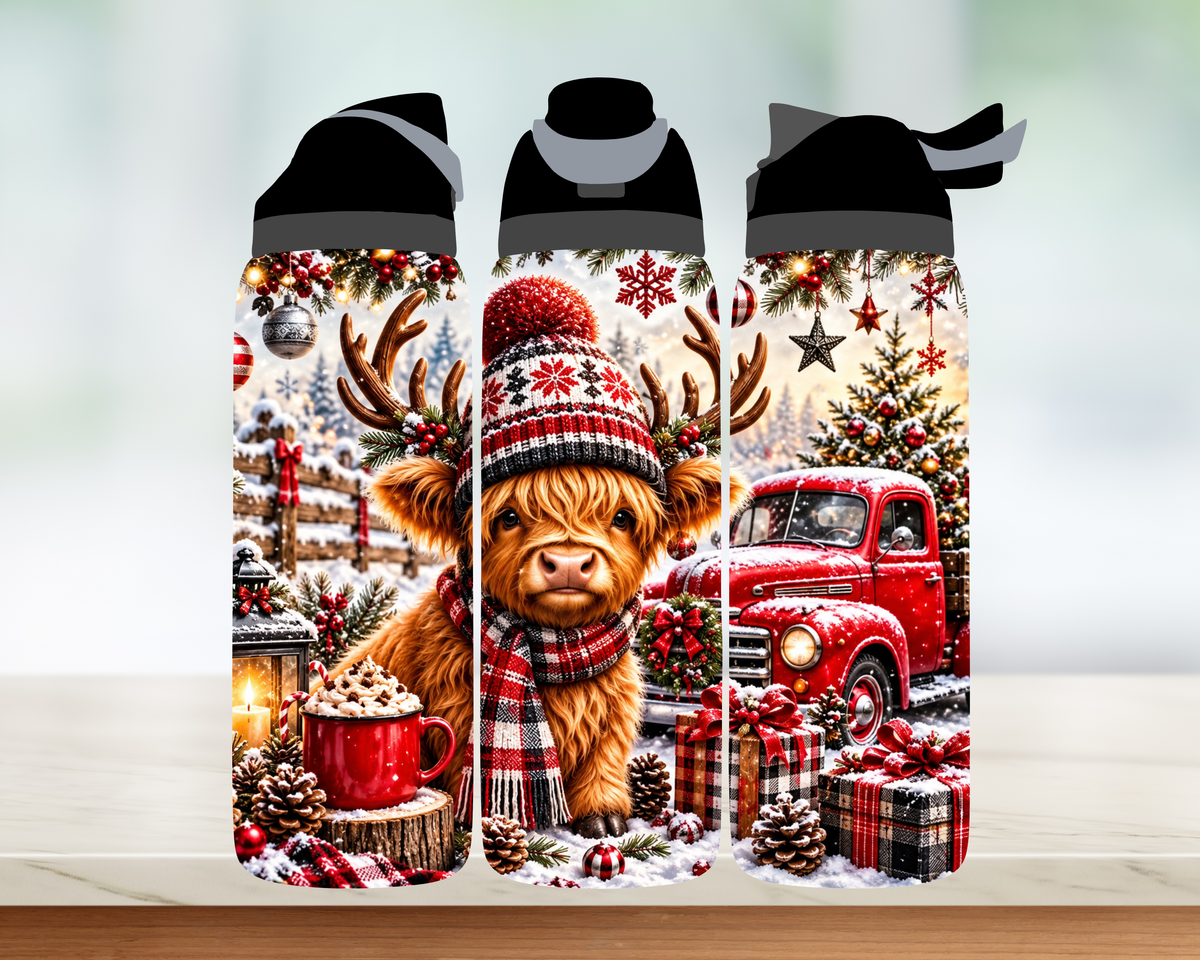 Bouteille style Owala 🎄 Collection d'hiver (24 OZ)