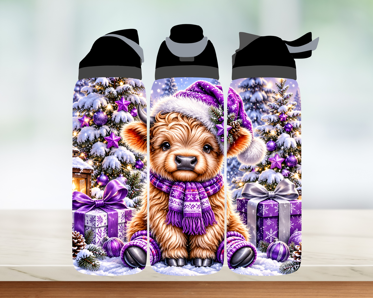 Bouteille style Owala 🎄 Collection d'hiver (24 OZ)