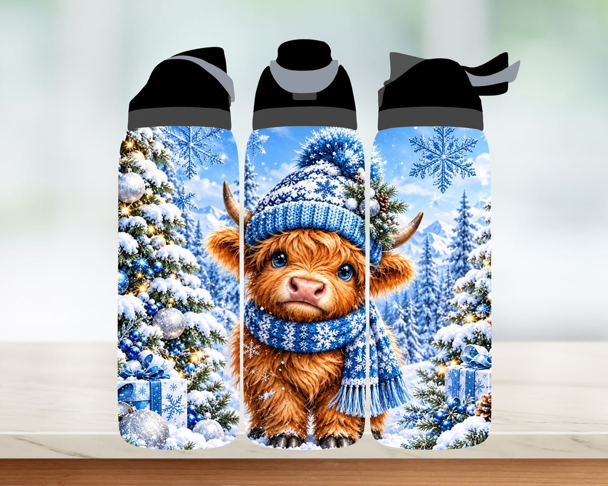 Bouteille style Owala 🎄 Collection d'hiver (24 OZ)