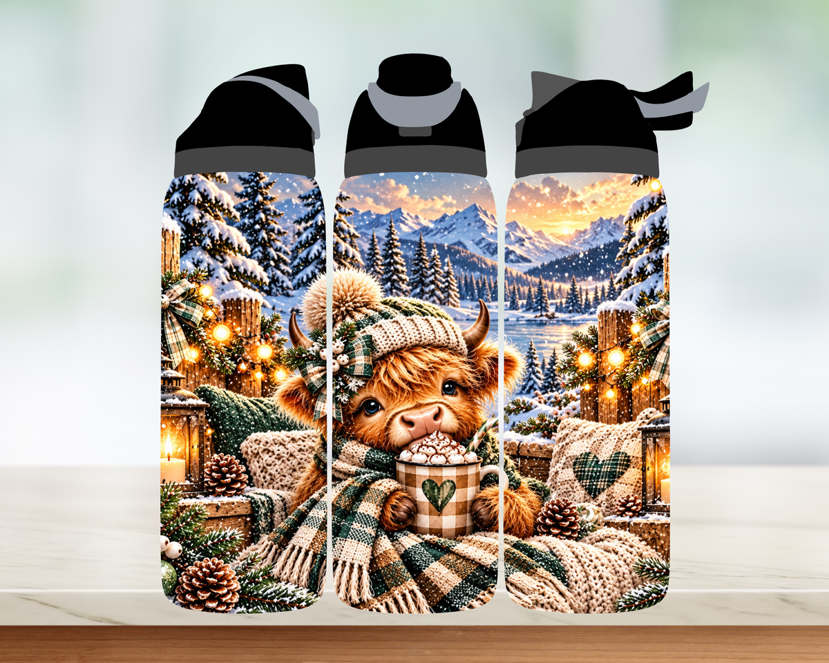 Bouteille style Owala 🎄 Collection d'hiver (24 OZ)