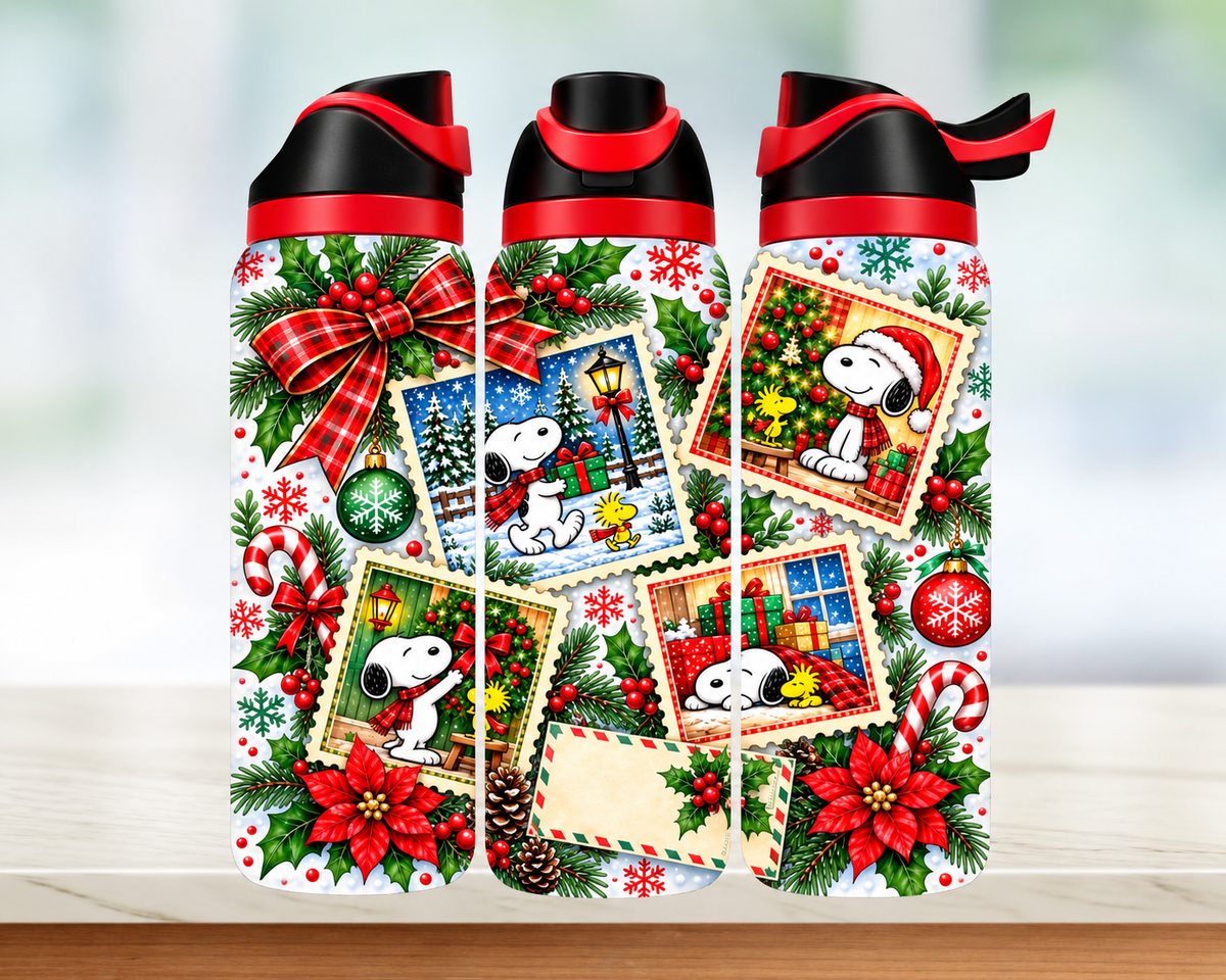 Bouteille style Owala 🎄 Collection d'hiver (24 OZ)