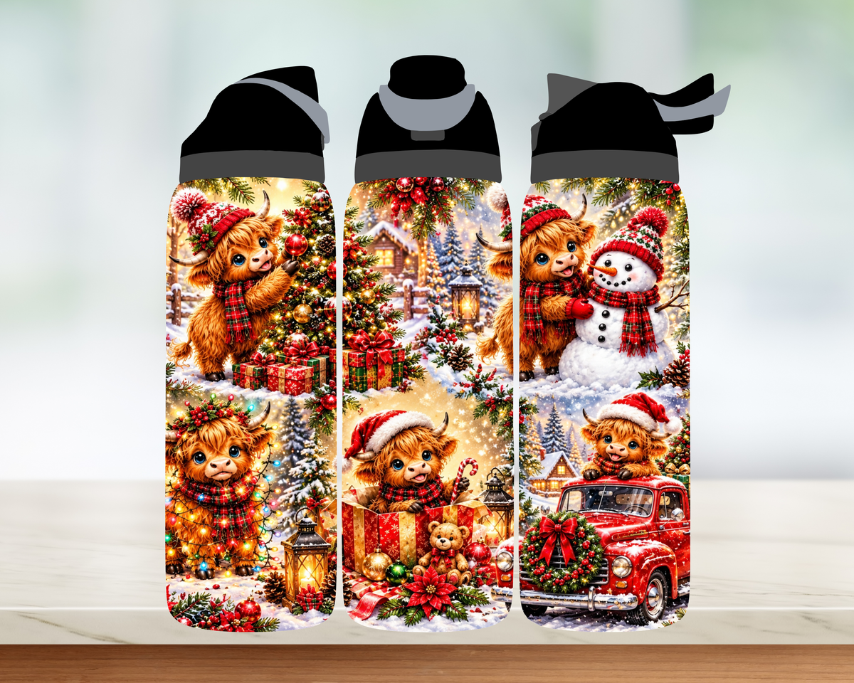 Bouteille style Owala 🎄 Collection d'hiver (24 OZ)