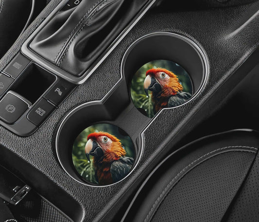 Sous-verre auto - perroquet