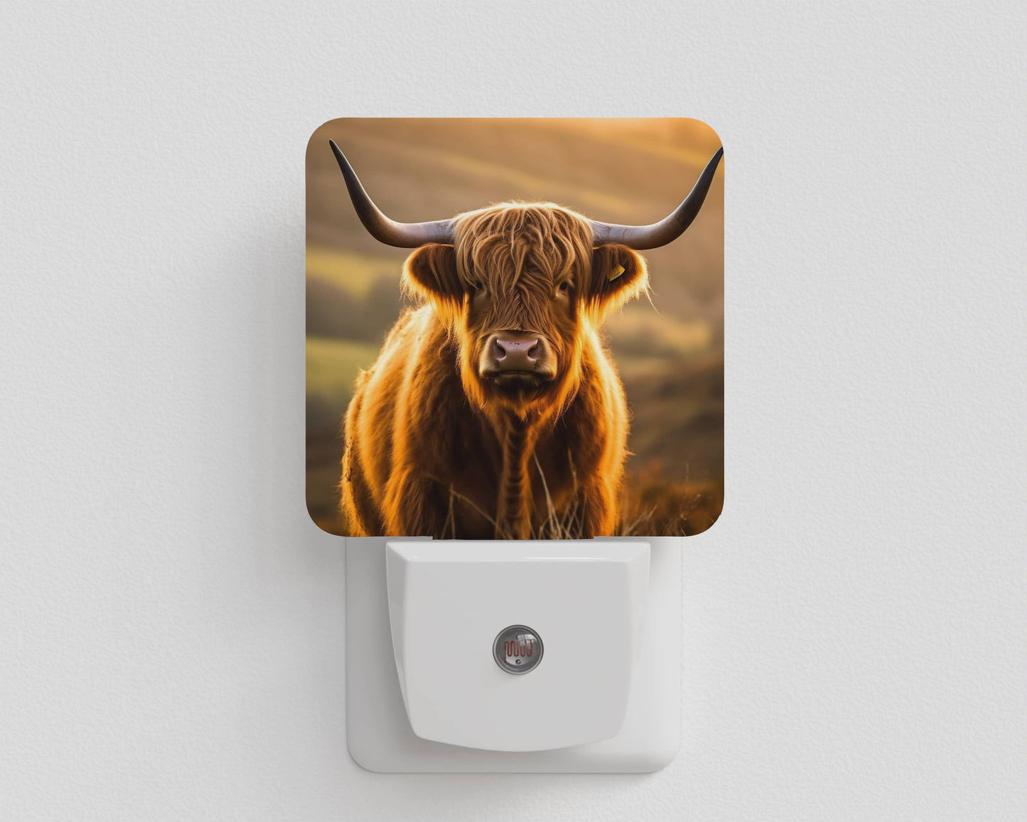 Veilleuse - vache highland