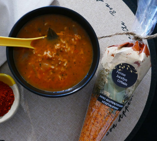 Soupe vegan-végétalienne sans gluten