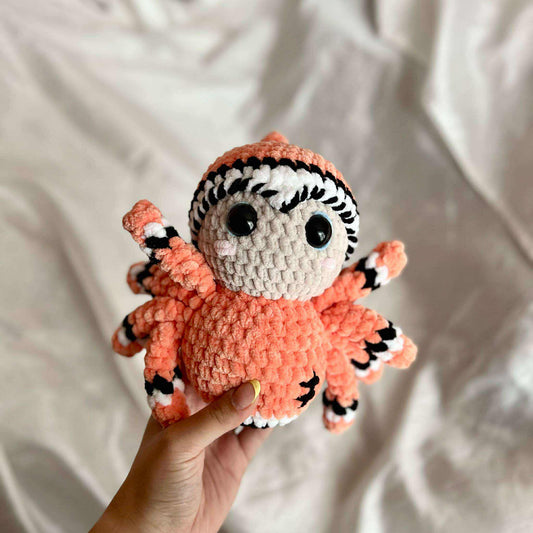 Araignée orangé