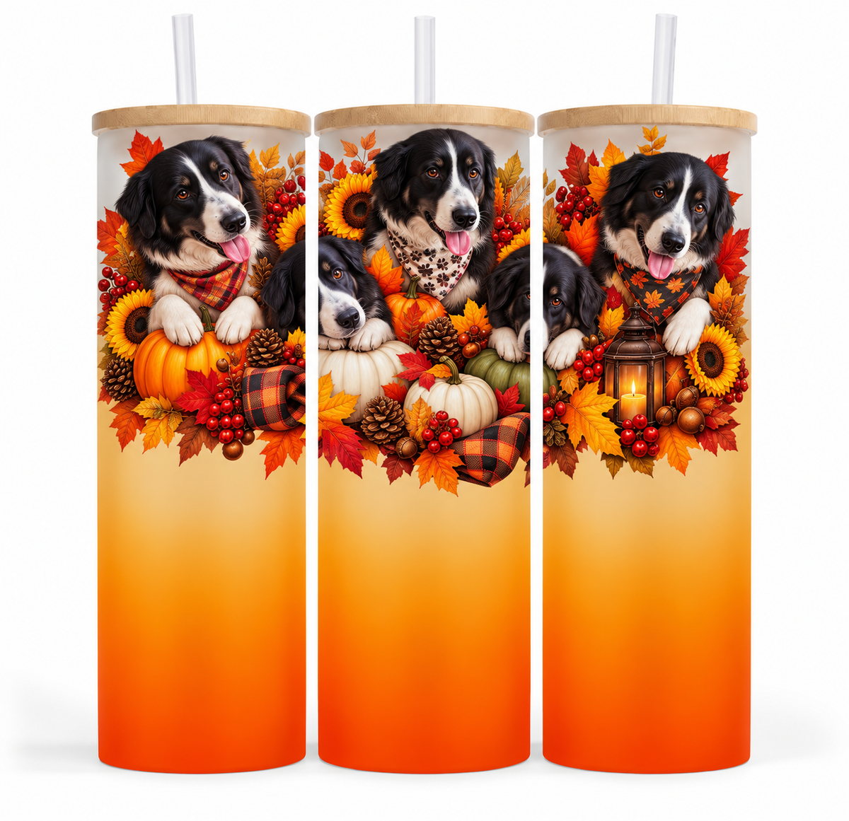Verre givré 25 oz - Paco (Automne)
