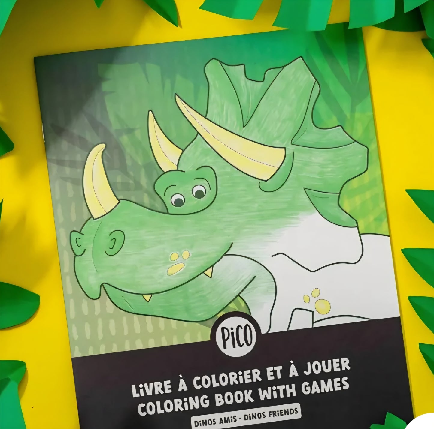 Livre a colorier et a jouer -Pico