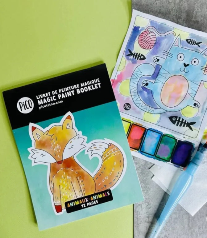 Livret de peinture magique -Pico