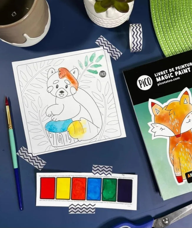 Livret de peinture magique -Pico