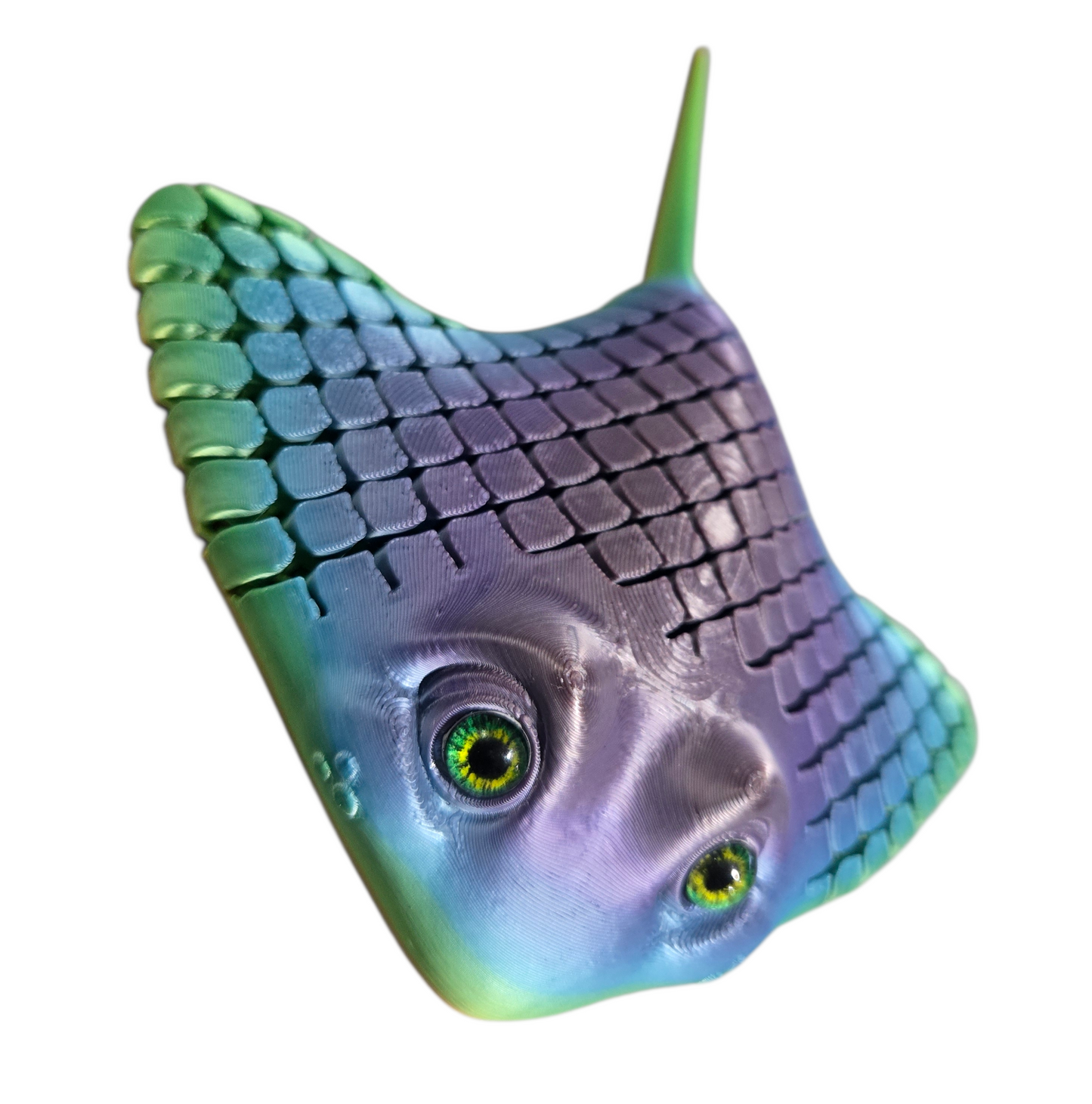 Raie sensoriel par Flexi Poly