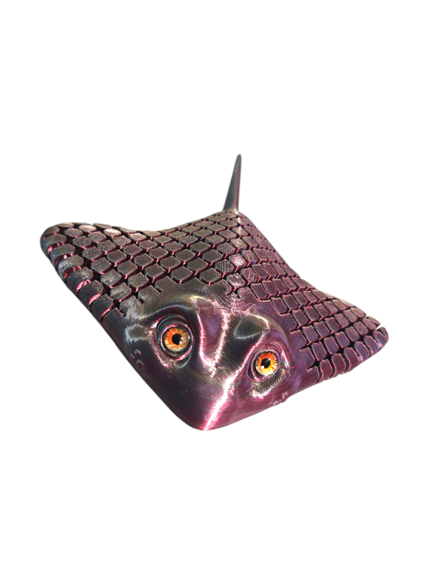 Raie sensoriel par Flexi Poly