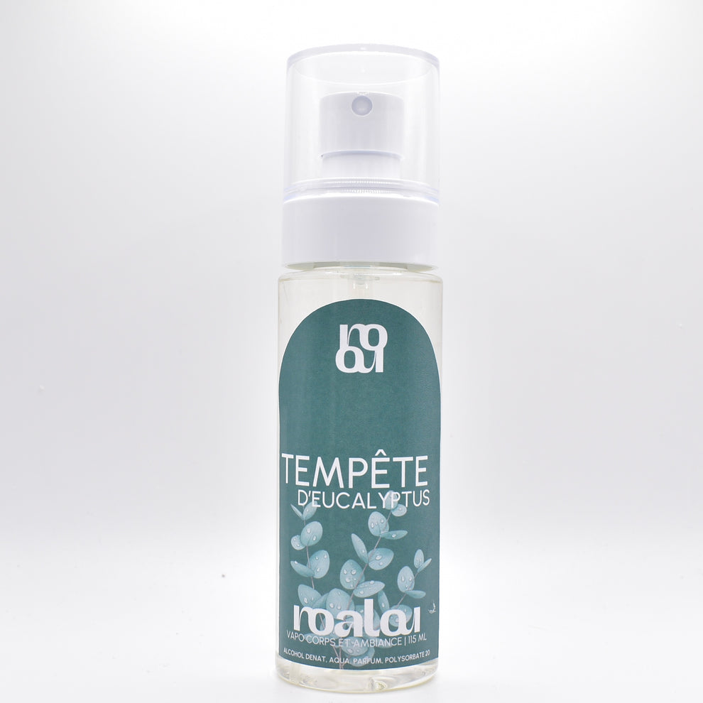 Vaporisateur corps et ambiance version 2.0 par Noalou