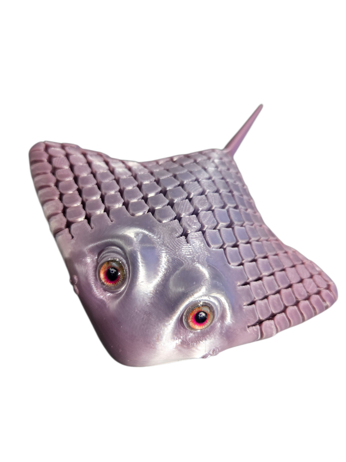 Raie sensoriel par Flexi Poly