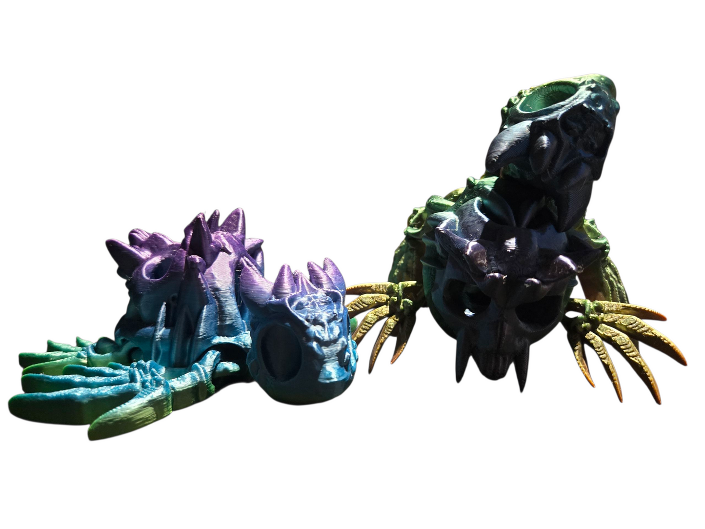 Tortue squelette articulé