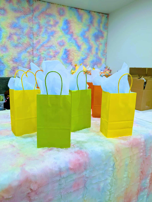 Sac surprise valeur de + 52$