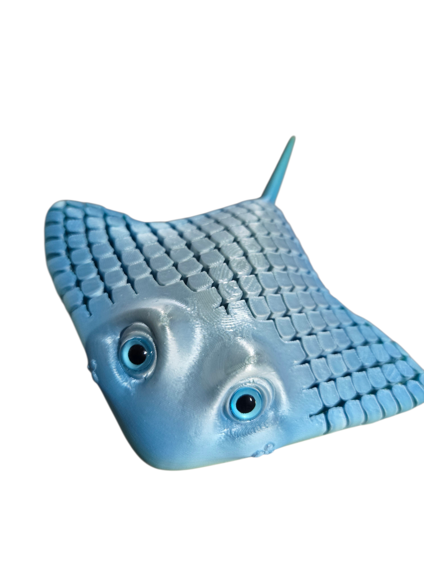 Raie sensoriel par Flexi Poly