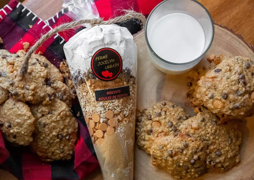 Biscuits boule de pépites