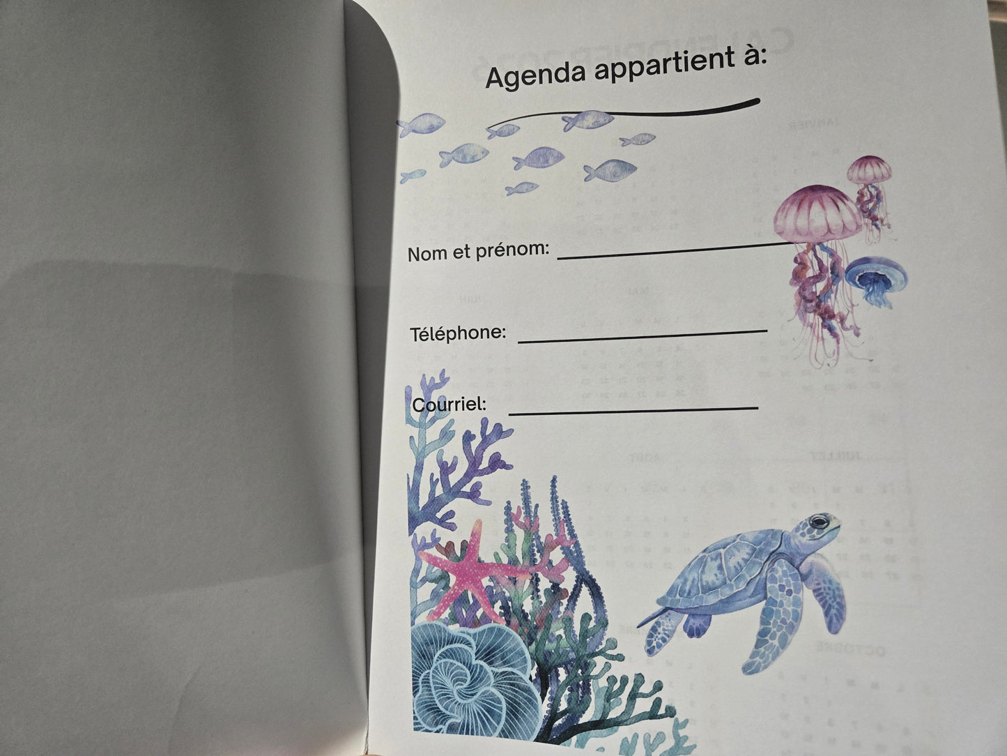 Agenda 2026 - Tortue