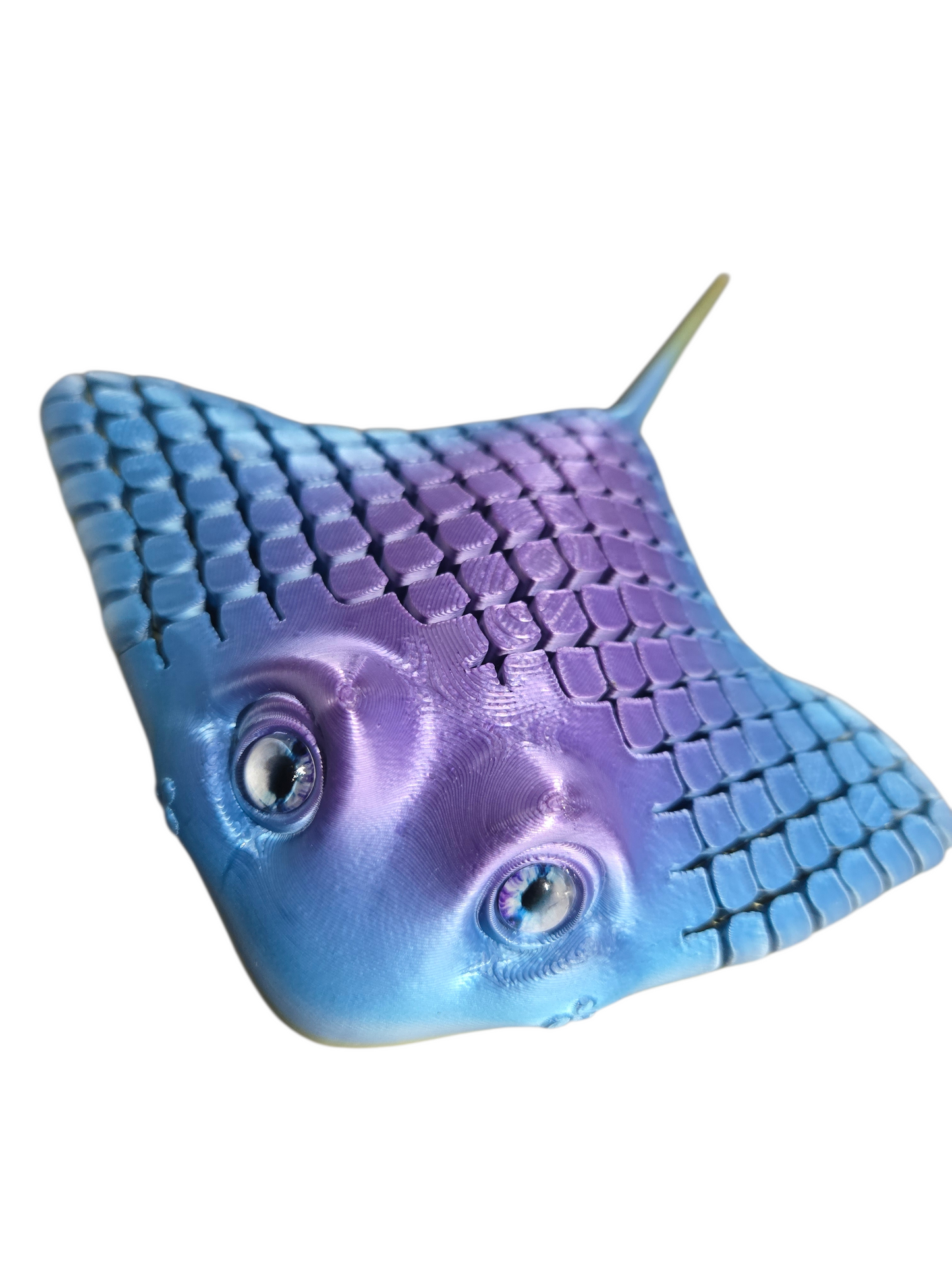 Raie sensoriel par Flexi Poly