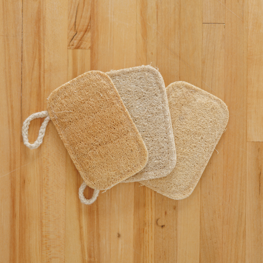 Éponge Luffa