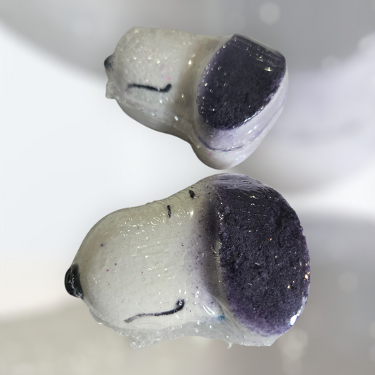 Bombe - Chien blanc et noir