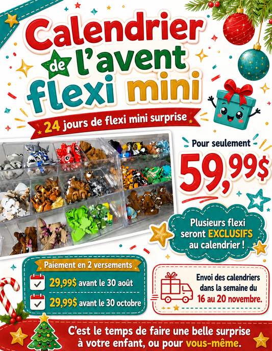 Calendrier de l'avant - Flexi mini