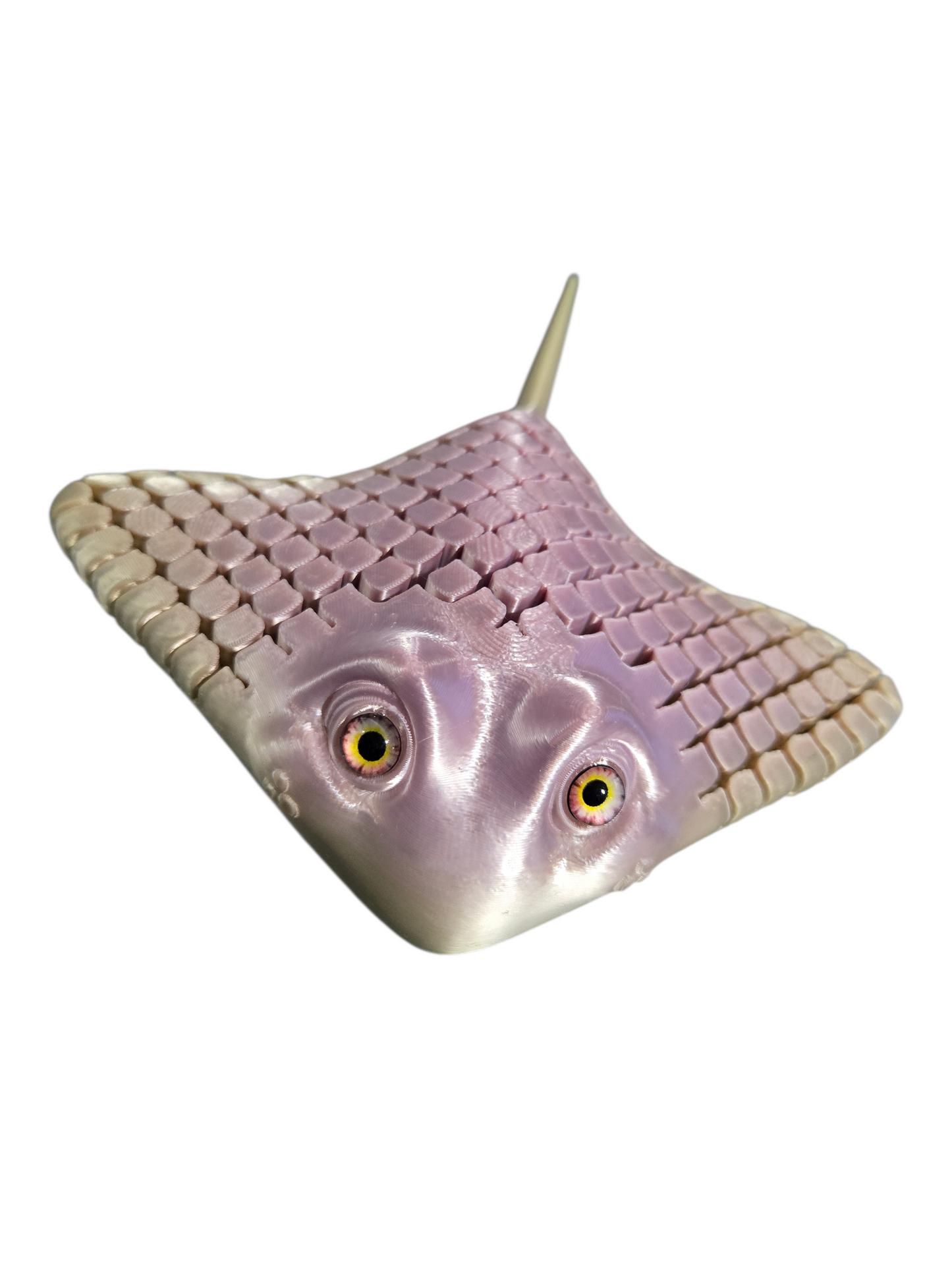 Raie sensoriel par Flexi Poly