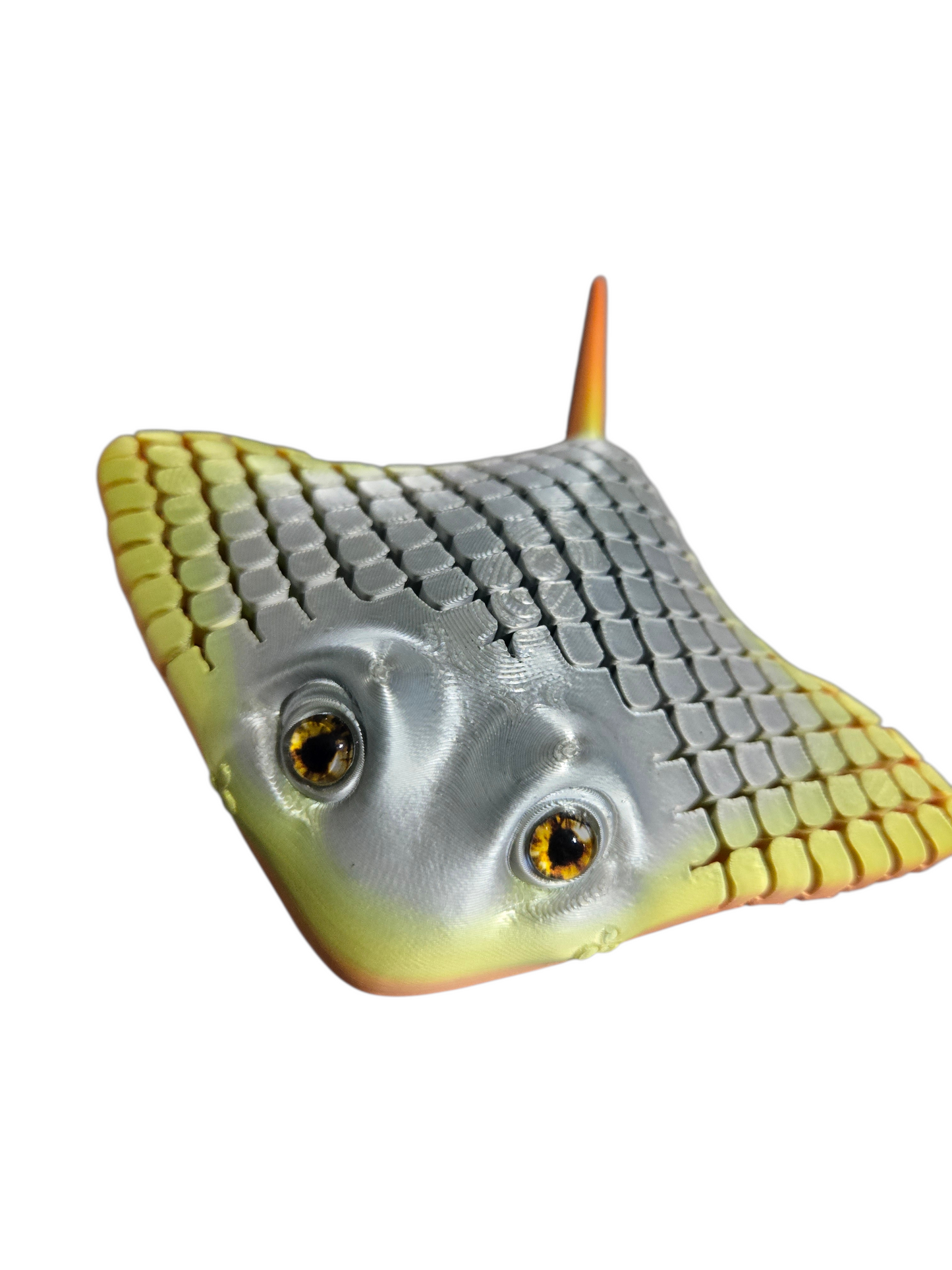 Raie sensoriel par Flexi Poly