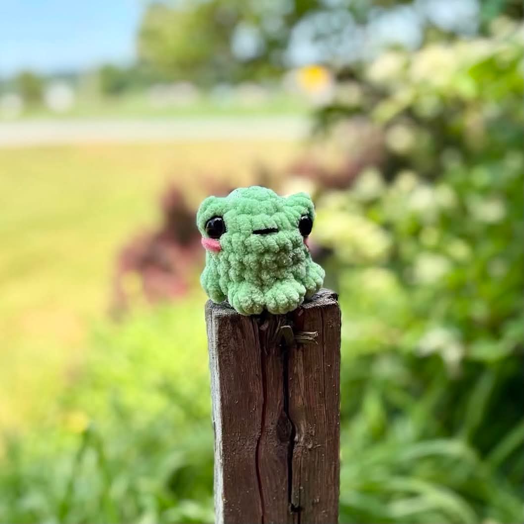 Grenouille en tricot - Doux coton